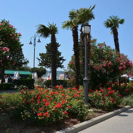 Apolon * Izola
