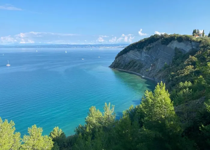 Apolon 아파트 이졸라