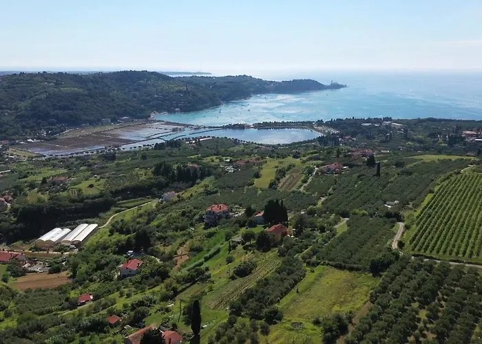 アパート Apolon *